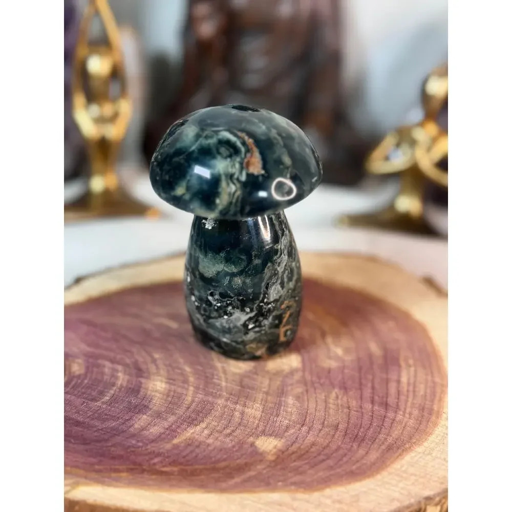 Ocean Jasper Mushroom